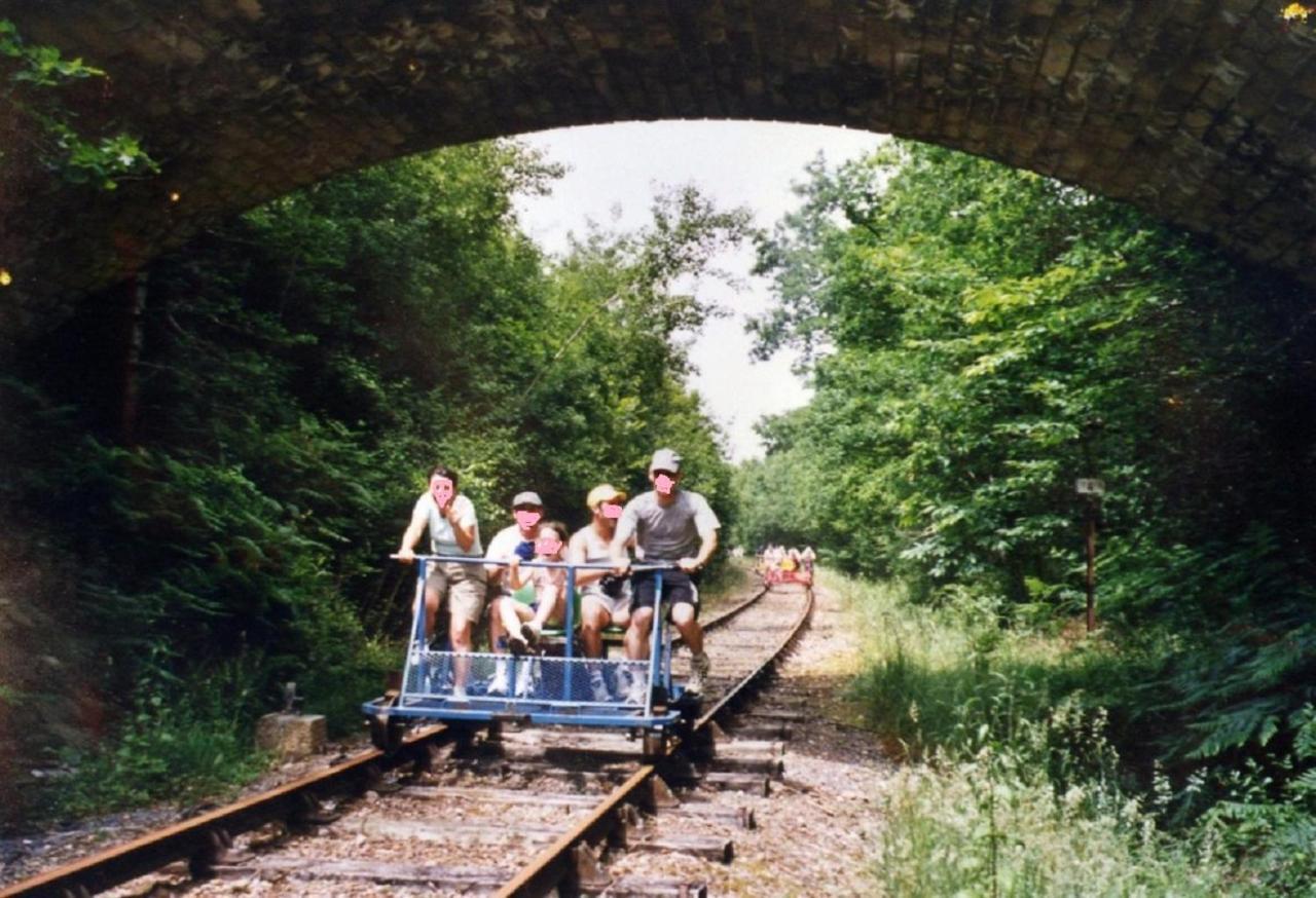 Des Roses Hébergement de vacances Oradour-Fanais